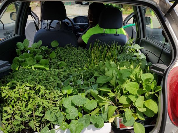 La terra non ha colore