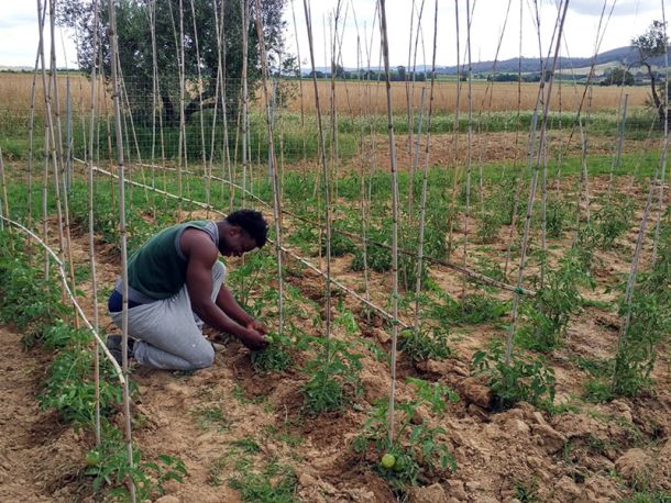 La terra non ha colore