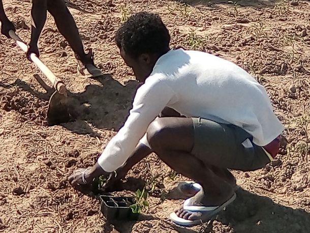 La terra non ha colore