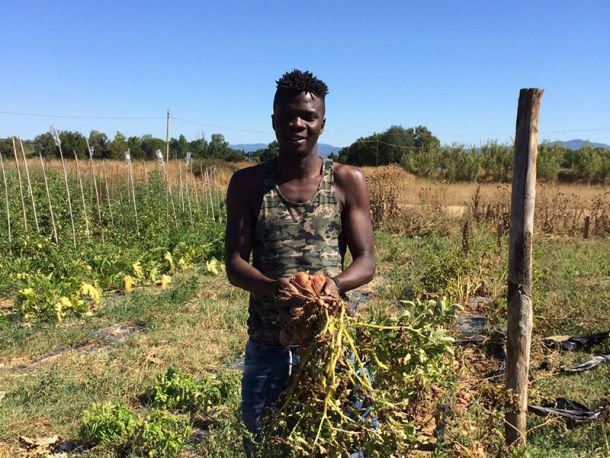 La terra non ha colore