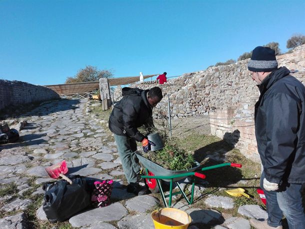 Volontariato al parco archeologico di Roselle 