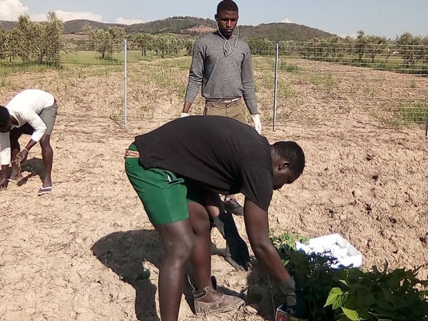 La terra non ha colore
