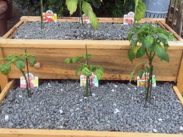 La terra non ha colore